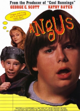 油炸冰琪淋Angus