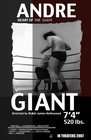 安德烈：巨人之心Andre: Heart of the Giant