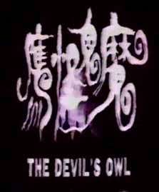魔鬼怪鹰Devil's Owl