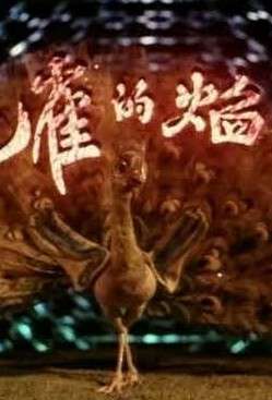 孔雀的焰火
