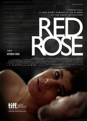 红玫瑰Red Rose